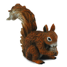 COLLECTA (S) Squirrel - eating 884675